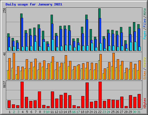 Daily usage for January 2021