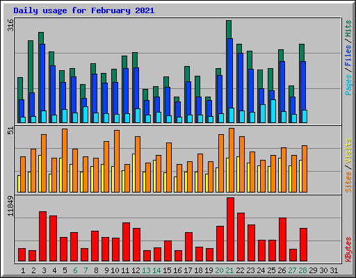 Daily usage for February 2021
