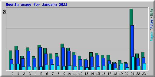Hourly usage for January 2021