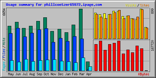 Usage summary for phillcoetzer65972.ipage.com